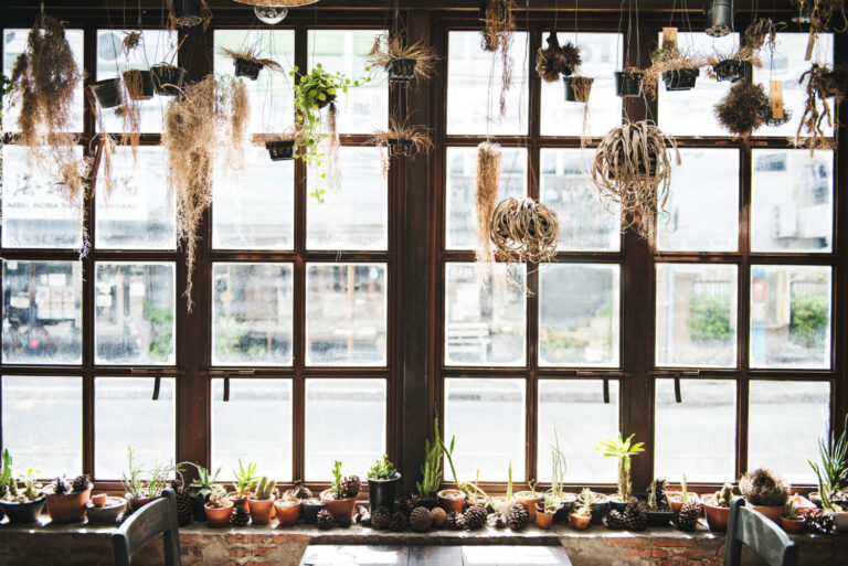 ogrody zimowe drewniane - zalety